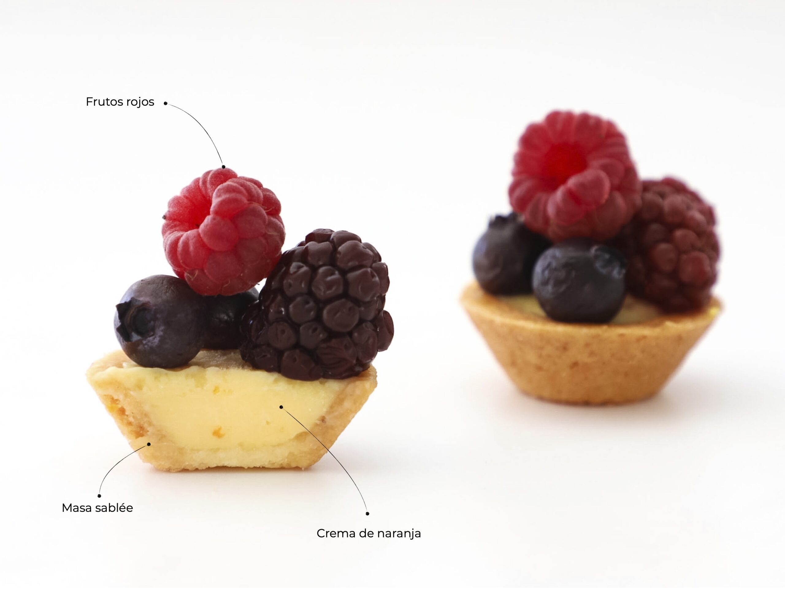 TARTELETAS DE FRUTOS ROJOS<br> <div class="bloque-prod"></div>
