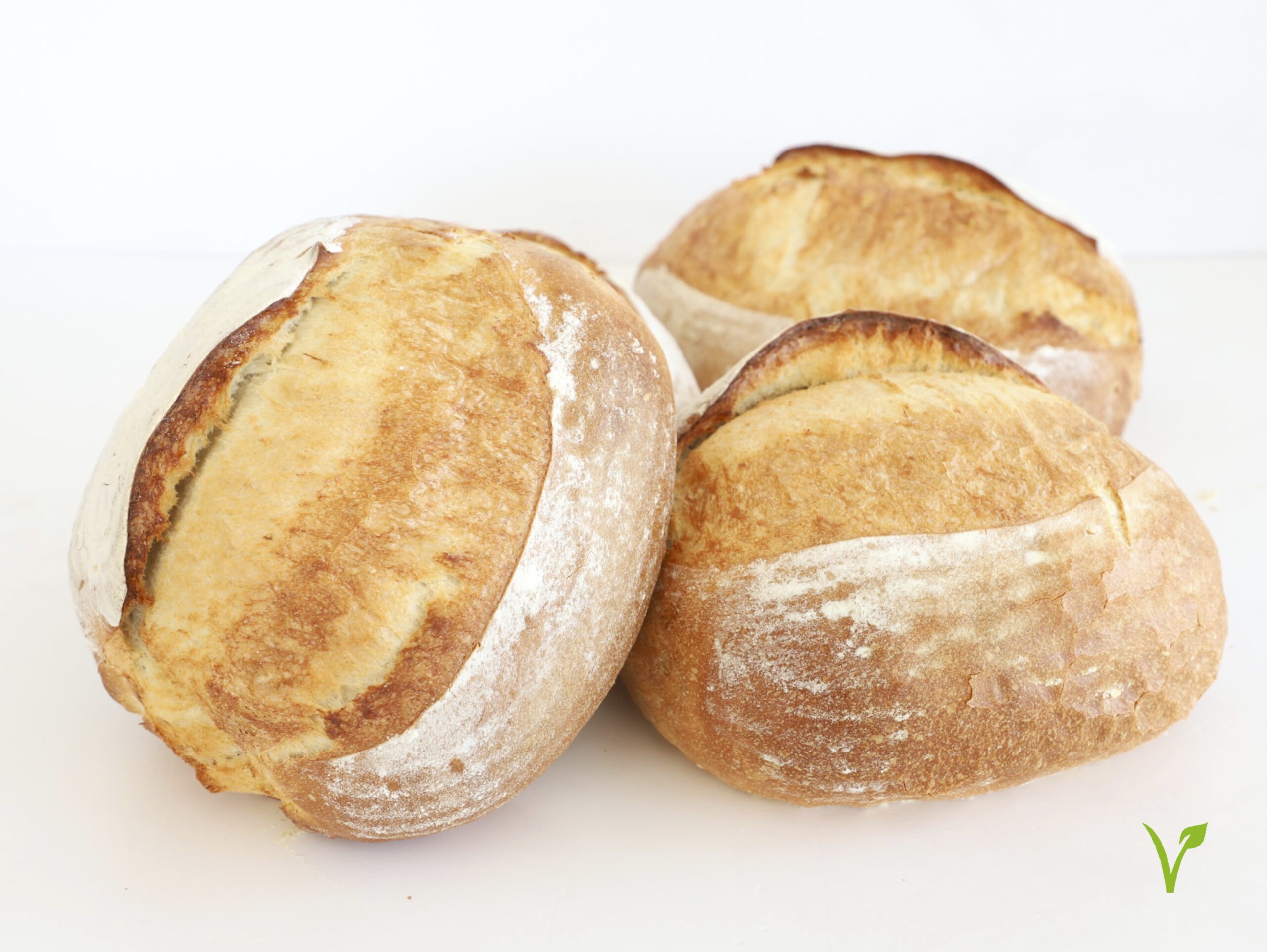 HOGAZA CLÁSICA<br><span style="font-family: 'Spartan', sans-serif;font-size:13px;"><p>Pan de masa madre (apto vegano).</p><b>$4.500 (Por unidad.) </b></span>