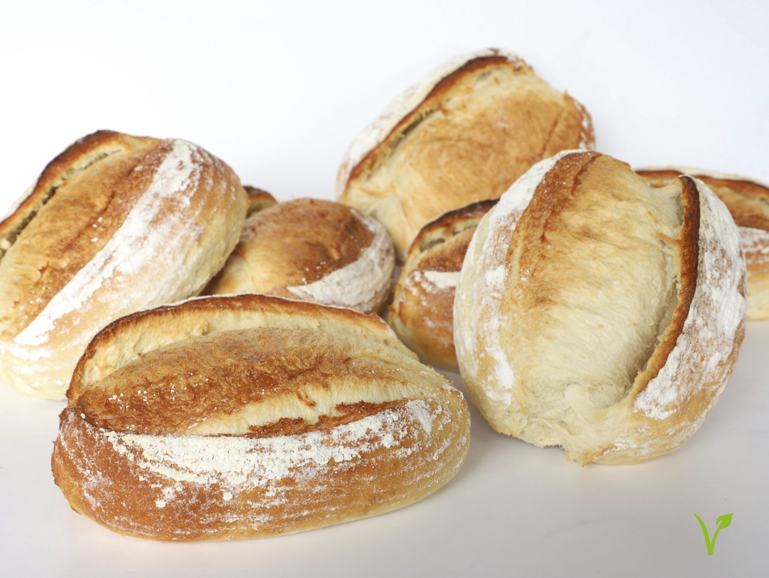 HOGAZA CLÁSICA<br><span style="font-family: 'Spartan', sans-serif;font-size:13px;"><p>Pan de masa madre (apto vegano).</p>$5.800<b>(Por unidad.)</b></span>