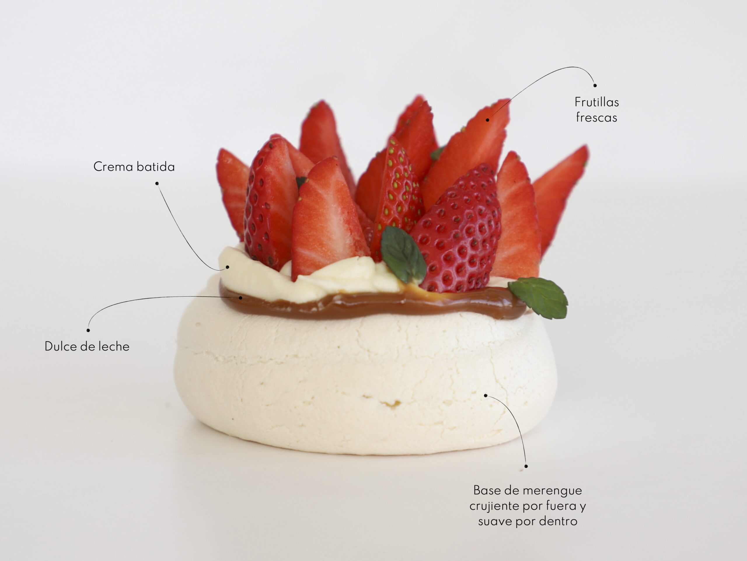 PAVLOVA<br> <div class="bloque-prod"><span style="font-family: 'SpartaSTn', sans-serif;font-size:13px;"><b> $8.200 c/u </b><br>   (Ø 8 cm. - mínimo 1 unidad.)</span></div>