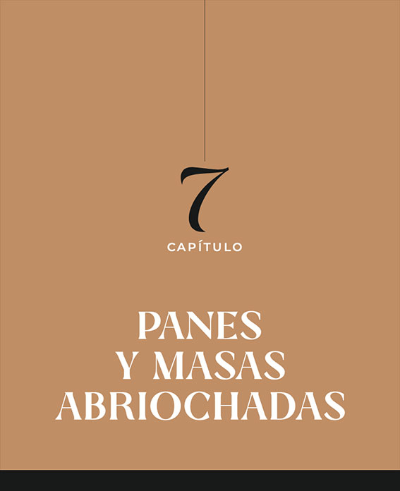 Libro Capitulo 2